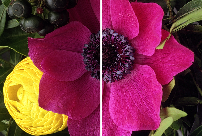 Picture++ main window